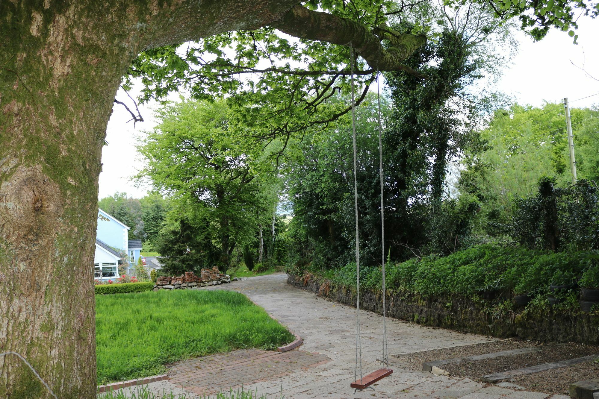 Bed and Breakfast Five Oaks Londonderry Zewnętrze zdjęcie